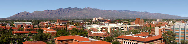 Does the university of arizona require an essay