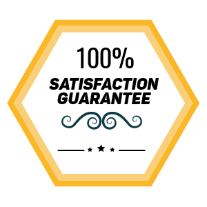 Browse Our Essays: Case Study- “Ryanair: the Low Fa...