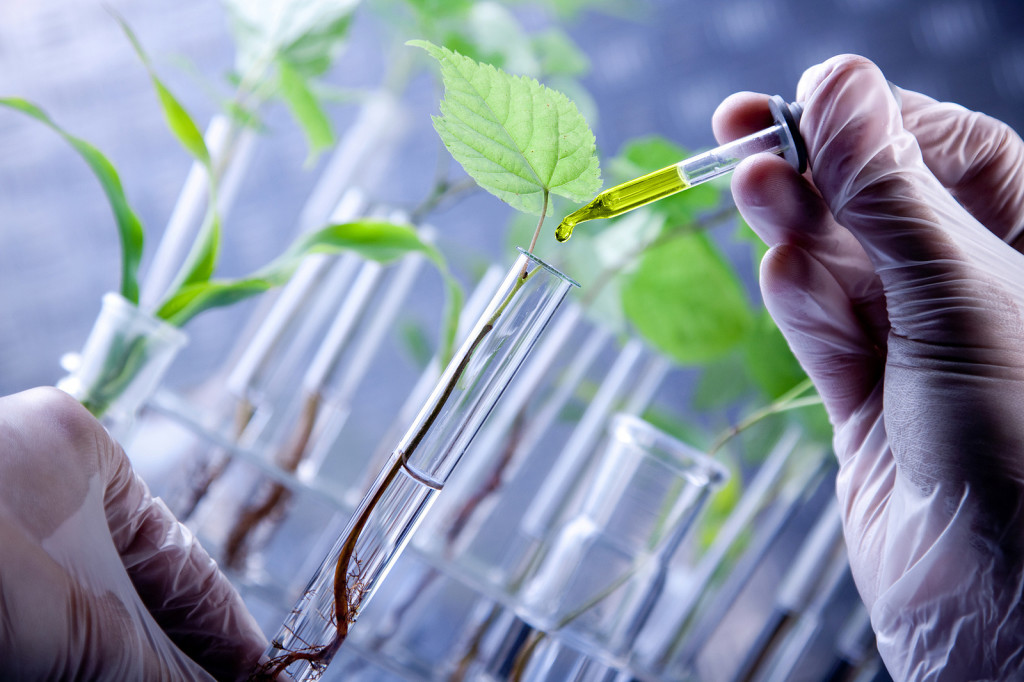 sop for biotechnology