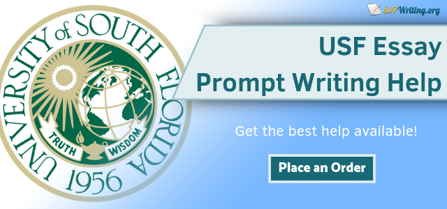 usf essay prompt