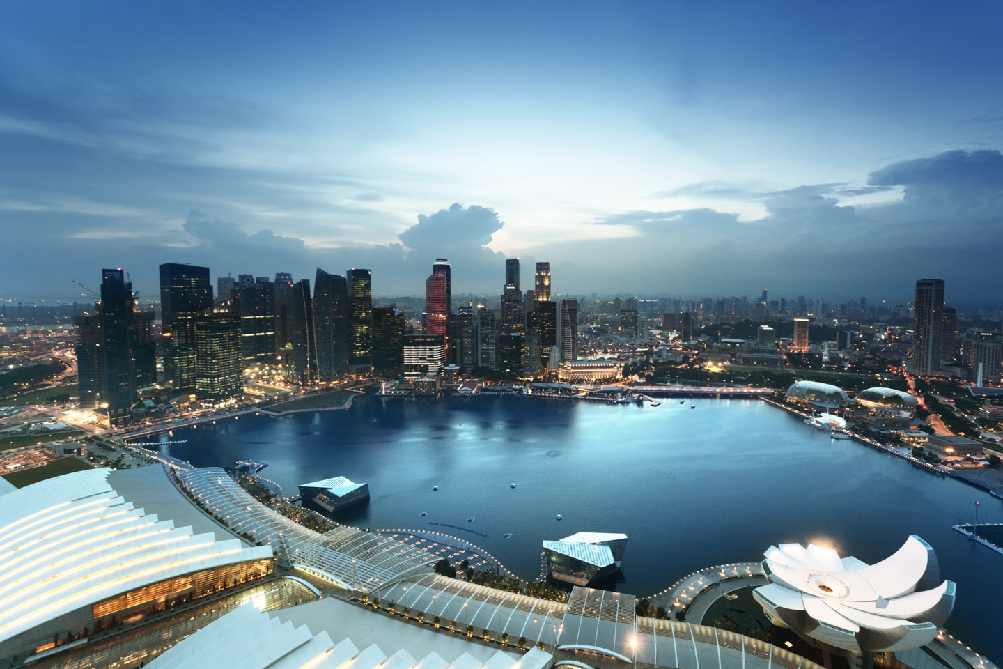 write my sop in singapore write my sop in singapore